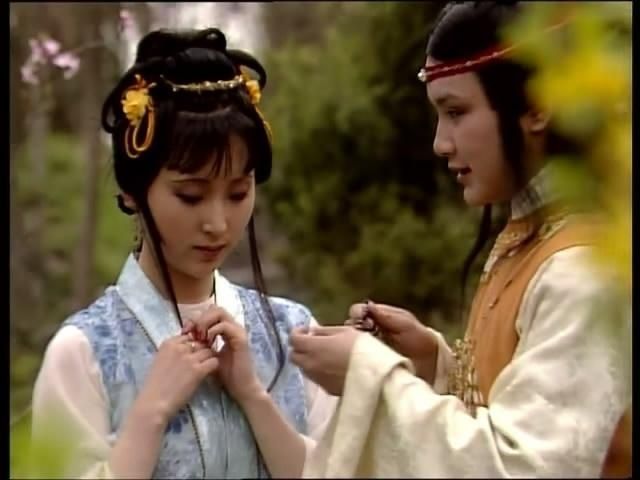 红楼梦的红梦是什么意思,红楼梦具体说的是什么