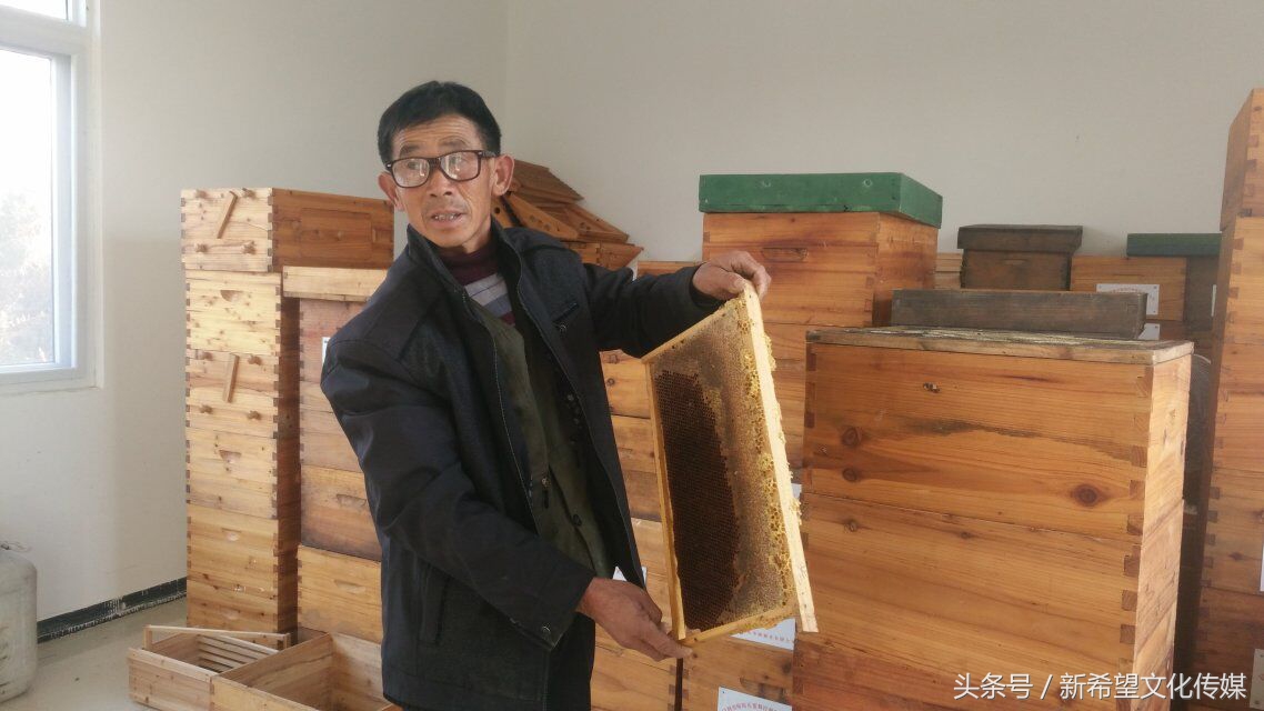 嗡嗡乐园蜂产品,嗡嗡乐园蜂蜜