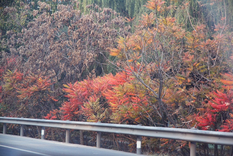 潮白河怪兽,潮白怪兽开箱