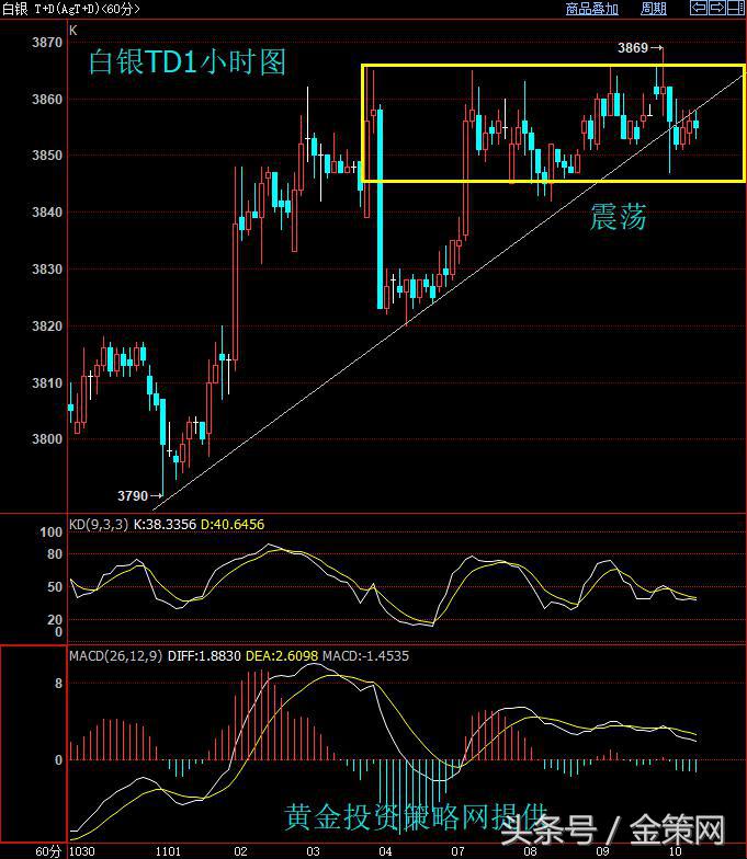 金策黄金和金大师,金策黄金最新消息