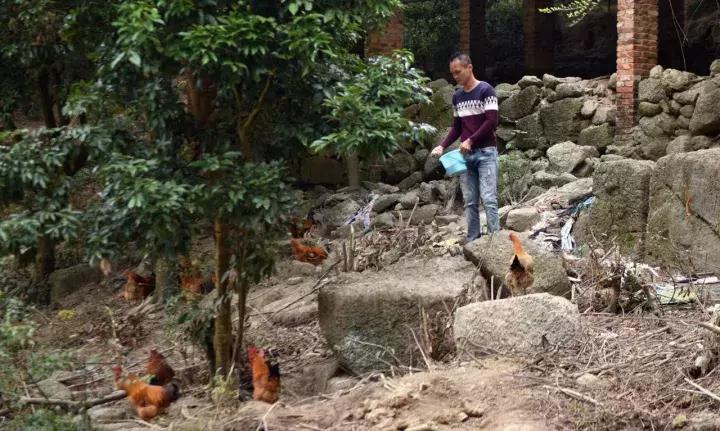 树立脱贫榜样传递扶贫力量,扶贫扶志自强不息