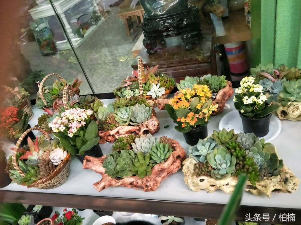 房子装修完各种问题,房子装修完了要买些什么