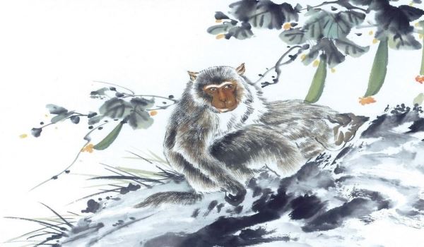 属猴1968出生今年财运,今天属猴的财运方位在哪方