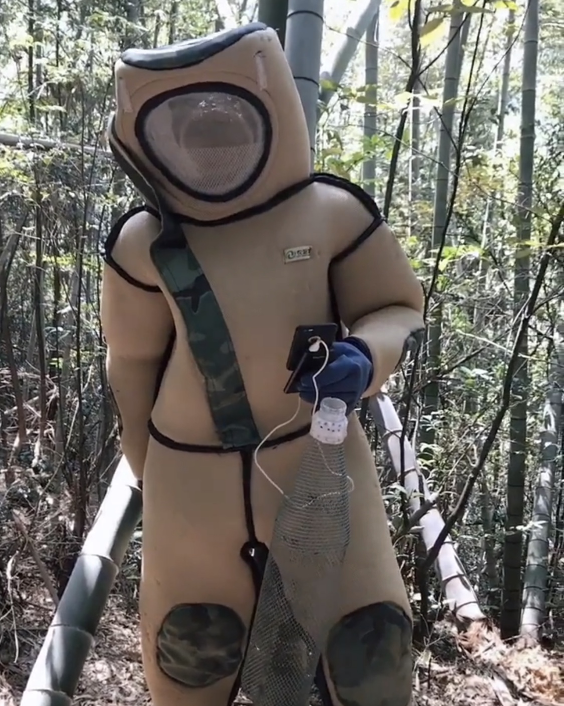 挖虎头蜂出意外,小伙上山采药在山洞里遇到人参