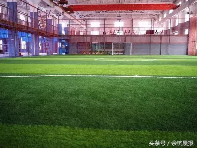 临平体育场最近有什么活动,临平运动中心