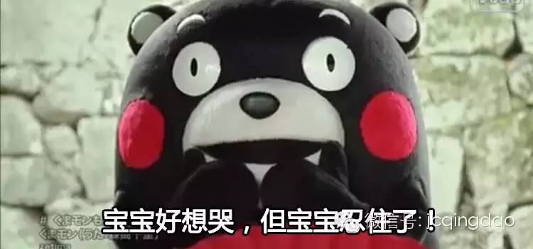 进口牛奶有多好喝,进口牛奶与本国牛奶口感差异