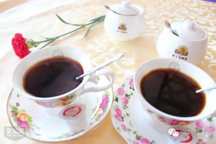 充满花香的西达摩—90+Ninetyplus花语