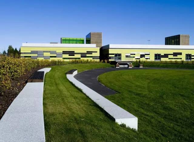 靠谱的景观草坪,露台人工景观草坪