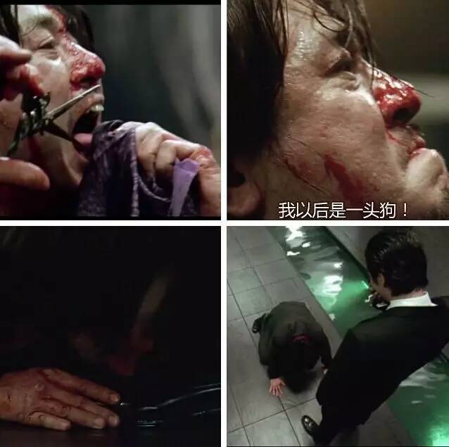 「*伦乱**」才不是这部电影的重点!