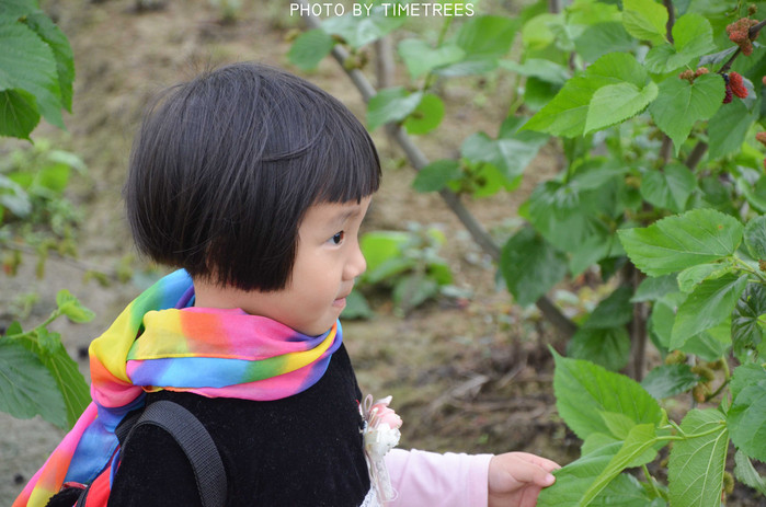 游玩增城新塘,游玩增城