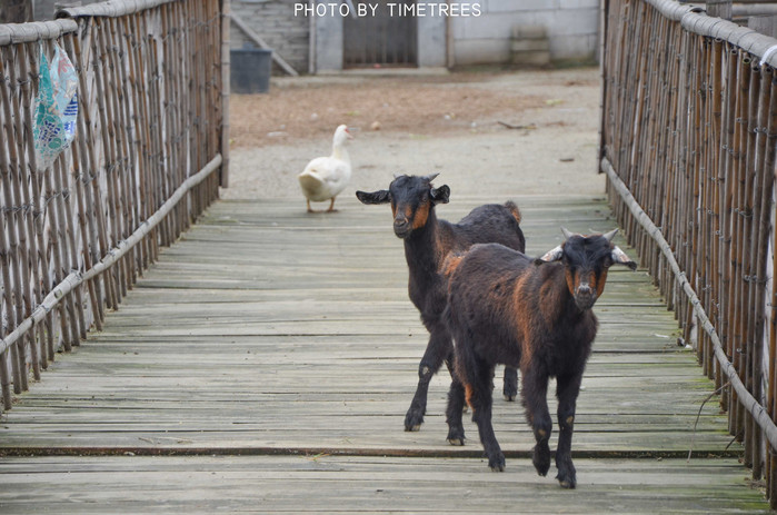 游玩增城新塘,游玩增城