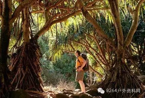 户外迷路怎么办？快收藏，记住这些救命技能！