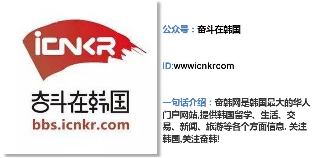 你还在做地方号，这十个号已经盯上了海外|小二诚荐