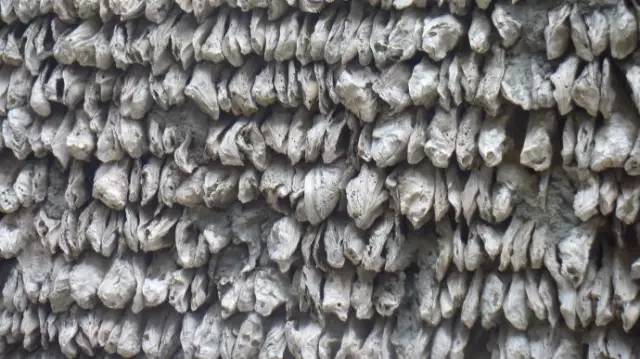 深圳，对不起我要去广州了！别再找我......