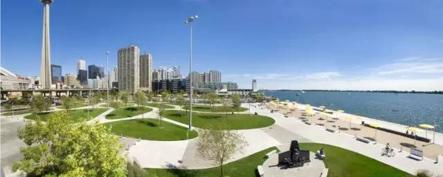 靠谱的景观草坪,露台人工景观草坪