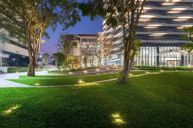 靠谱的景观草坪,露台人工景观草坪