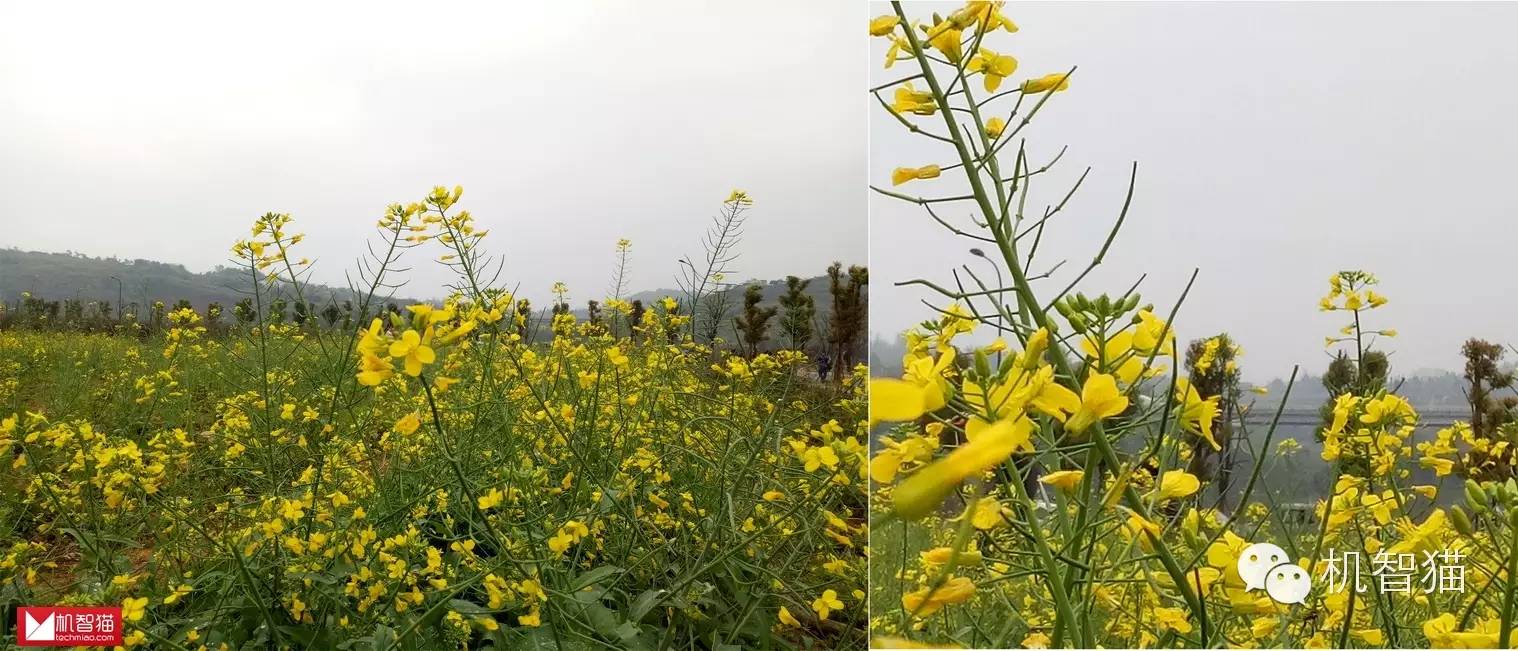 oppor系列测评,oppor9splus测评