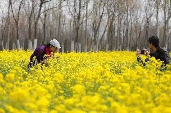 临沂人旅游攻略,临沂人清明去哪玩