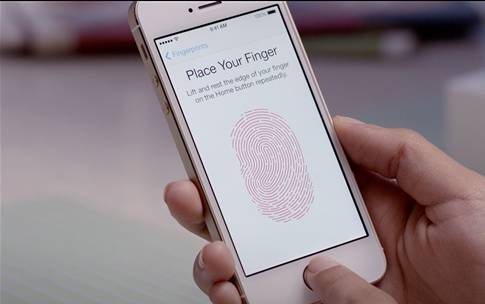 iphonese全部是黄屏吗,iphonese国行后盖