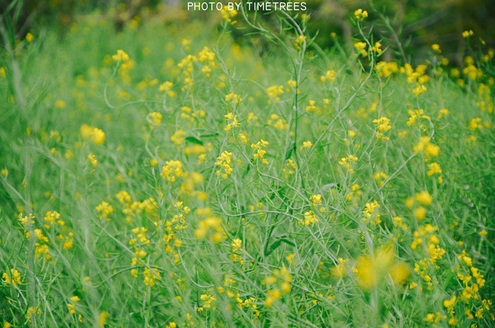 游玩增城新塘,游玩增城