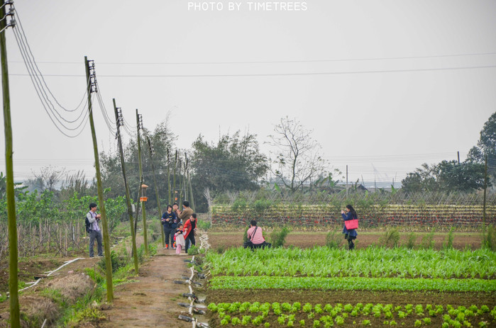 游玩增城新塘,游玩增城