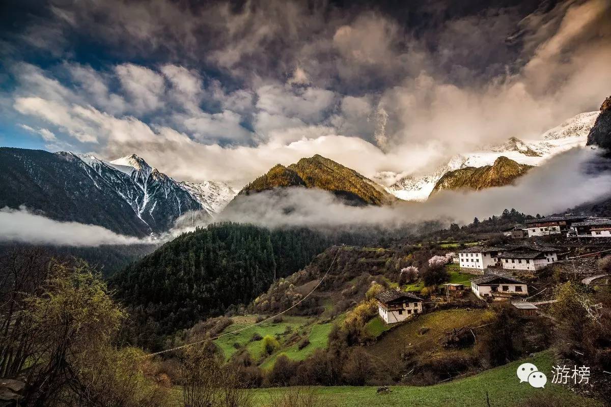 一周直播榜单,一周榜单