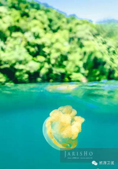 帕劳恢复免签2017,帕劳对中国人免签不