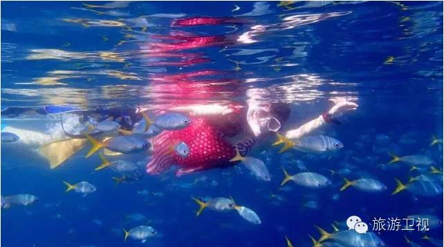 帕劳恢复免签2017,帕劳对中国人免签不