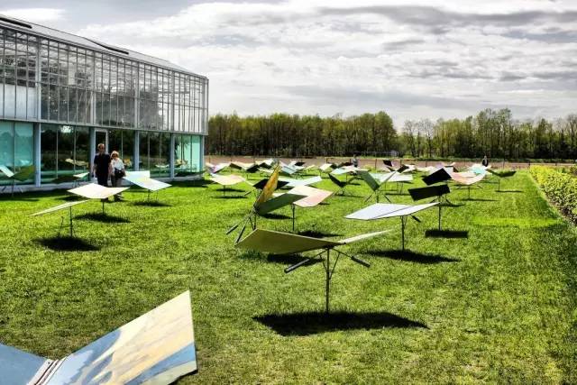 靠谱的景观草坪,露台人工景观草坪