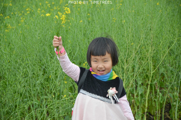 游玩增城新塘,游玩增城