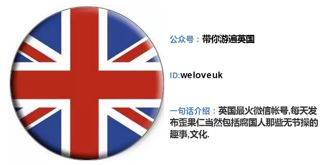 你还在做地方号，这十个号已经盯上了海外|小二诚荐