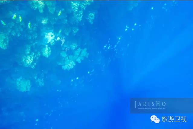 帕劳恢复免签2017,帕劳对中国人免签不