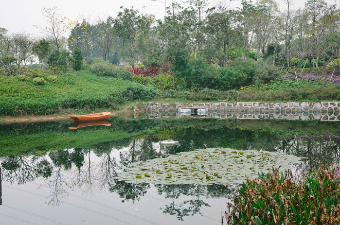 游玩增城新塘,游玩增城
