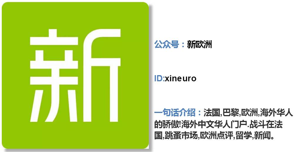 你还在做地方号，这十个号已经盯上了海外|小二诚荐