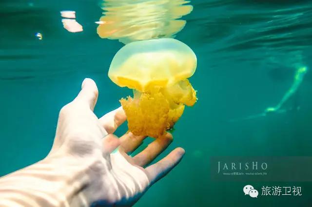 帕劳恢复免签2017,帕劳对中国人免签不