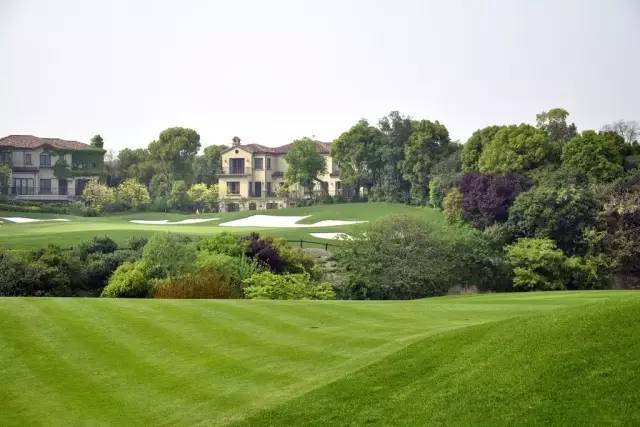 靠谱的景观草坪,露台人工景观草坪