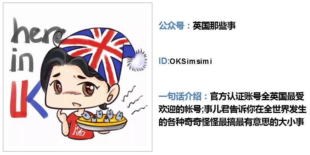 你还在做地方号，这十个号已经盯上了海外|小二诚荐