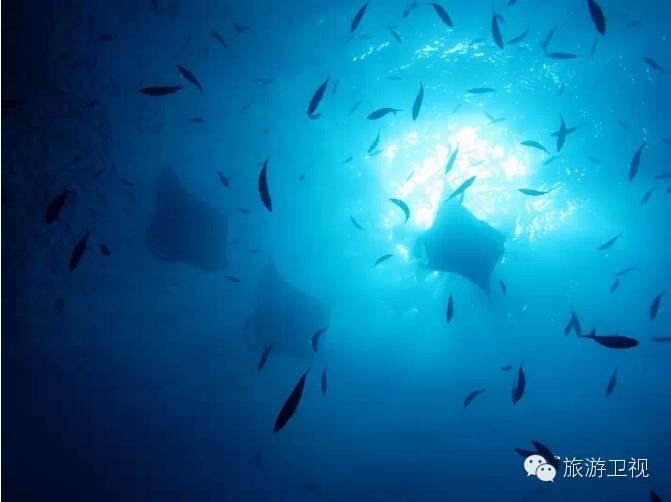 帕劳恢复免签2017,帕劳对中国人免签不