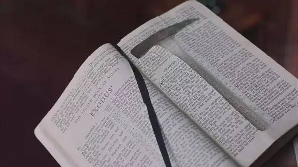 「*伦乱**」才不是这部电影的重点!