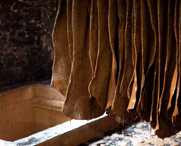 古罗马人如厕用啥,古代罗马人用什么方法治病