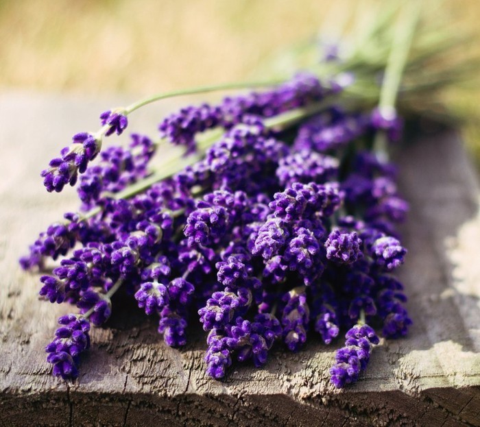 商业|她第一个给成都人带来精油和香氛，大家叫她“香香公主”