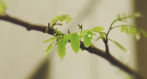 一个强迫症患者的告白,强迫症患者的忧伤