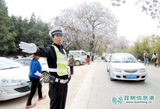 清明假期将迎踏青祭扫高峰期建议,清明节将至部分市民已错峰扫墓