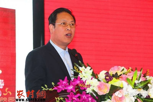 乐村淘互联网超市,乐村淘网络科技