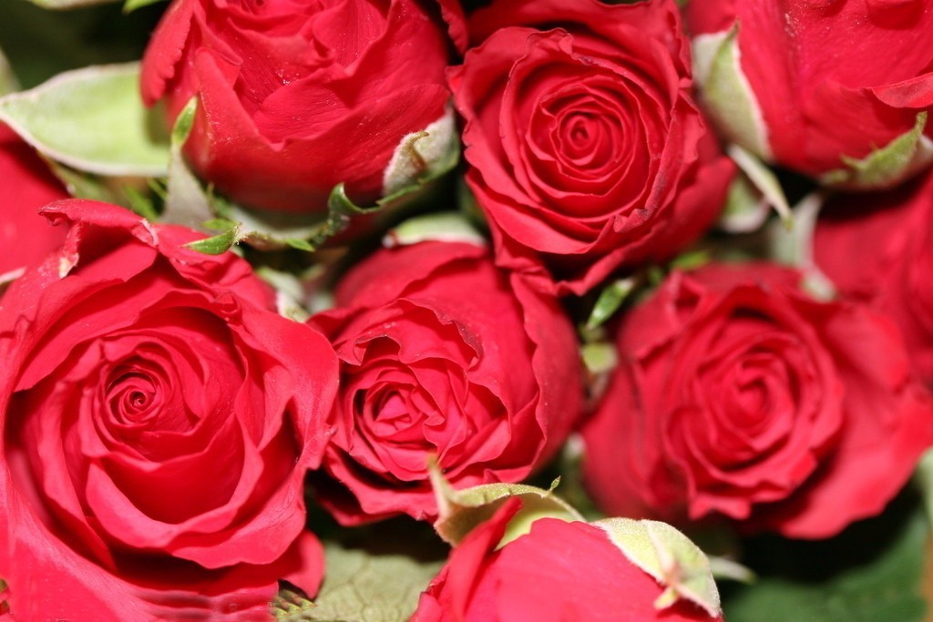 商业|她第一个给成都人带来精油和香氛，大家叫她“香香公主”