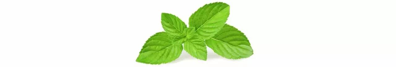 商业|她第一个给成都人带来精油和香氛，大家叫她“香香公主”