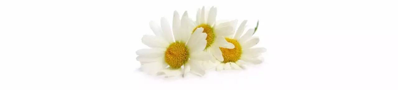 商业|她第一个给成都人带来精油和香氛，大家叫她“香香公主”