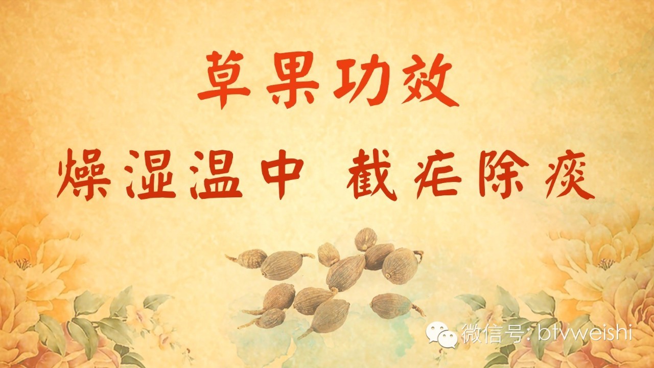 北京卫视养生堂活血化瘀三宝,养生堂名老中医调脾胃