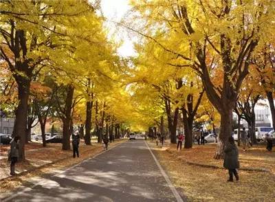 青岛市城事,岛城城事