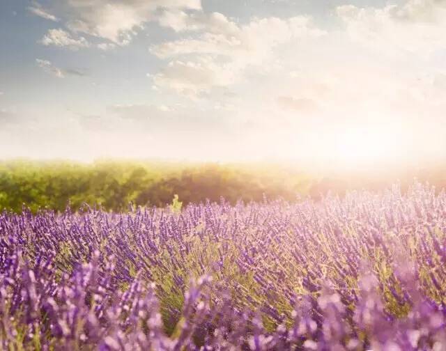 青岛市城事,岛城城事